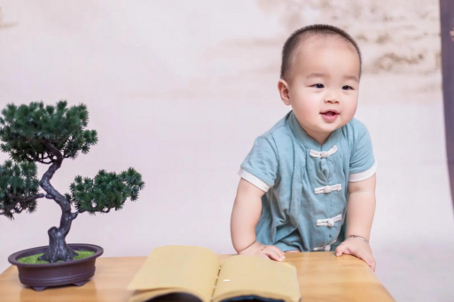 如皋可爱的企鹅宝宝